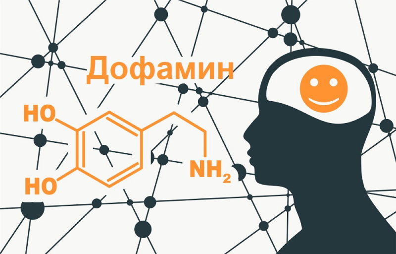Психологическая составляющая алкоголизма связана с нарушенным балансом дофамина – «гормона удовольствия»