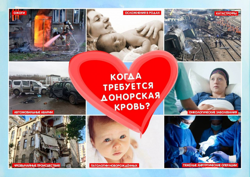 Кого спасёт моя кровь? 