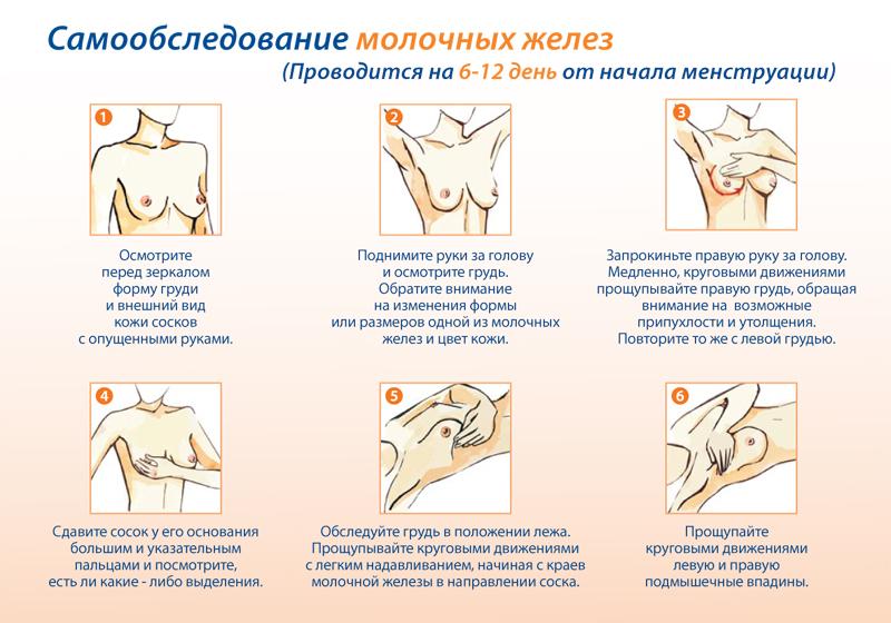 Ежемесячная забота о красоте и здоровье груди  
