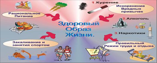 Здоровый образ жизни - основные правила