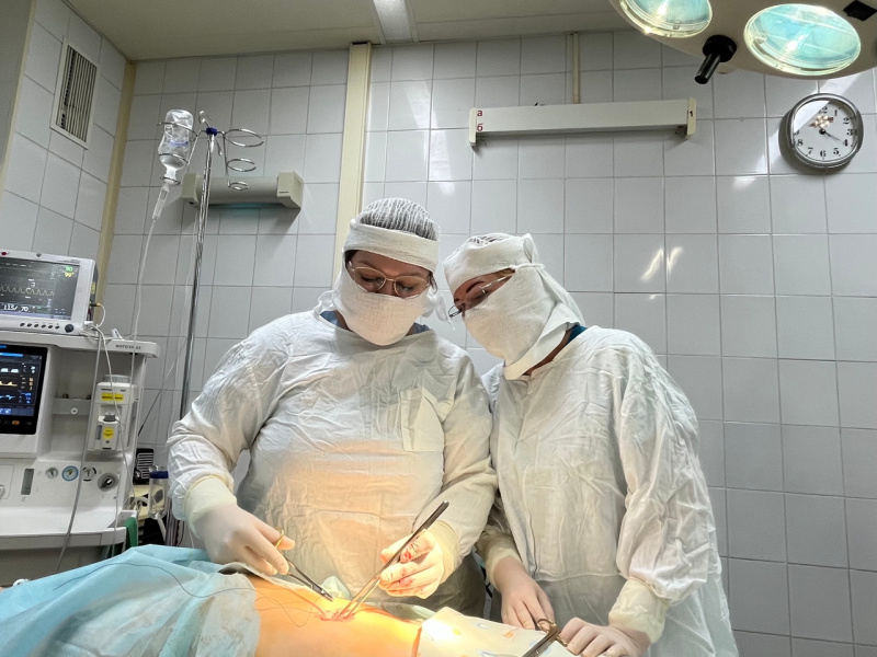 С наставником по одному пути: что изменилось с введением нового закона о наставничестве