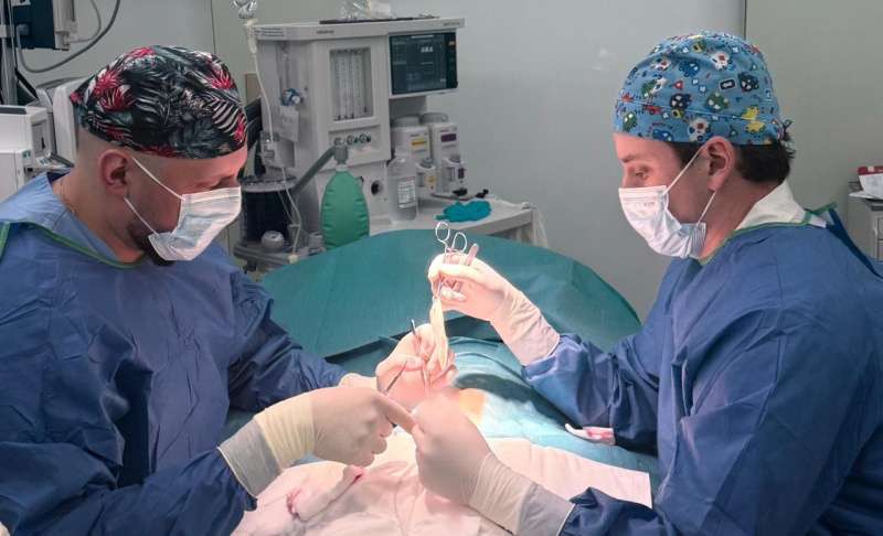 Наставничество в уроандрологическом отделении детской больницы