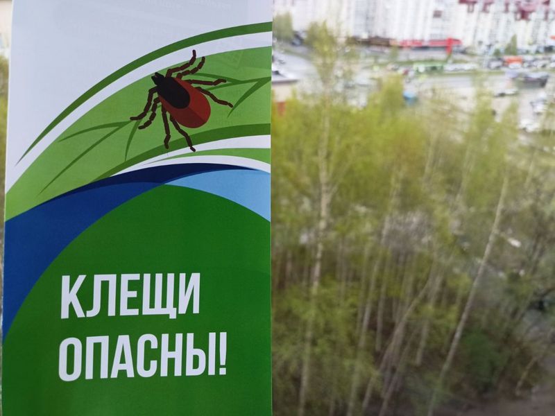 Сотрудники травмпункта взрослой поликлиники Нижневартовска отмечают высокую активность клещей