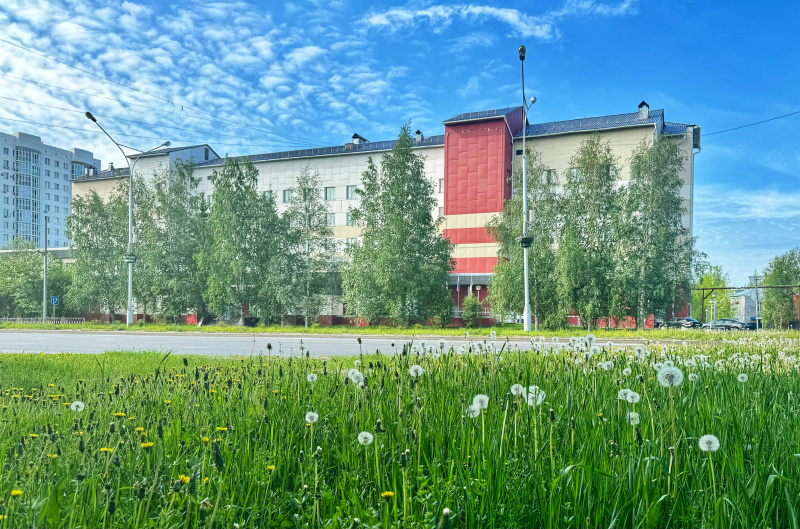 В перинатальном центре прошел аудит оказания медицинской помощи детям
