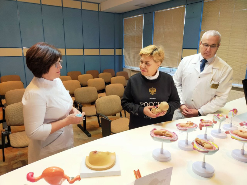 Взгляд внутрь человеческого тела: 36 новых анатомических моделей 