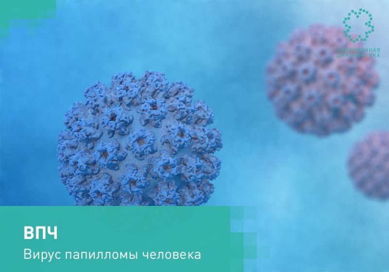 В День борьбы с ВПЧ (вирус папилломы человека) состоится специализированный вебинар для медицинских работников