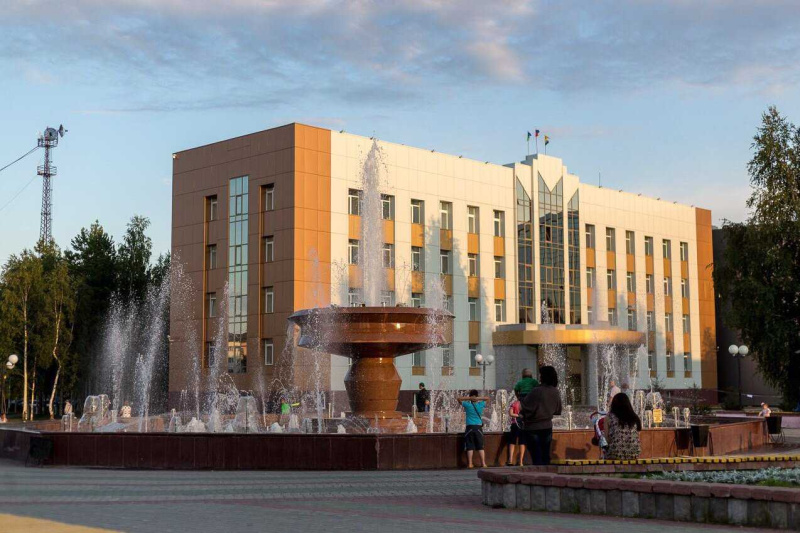 Главный врач выступил с докладом на заседании Думы города