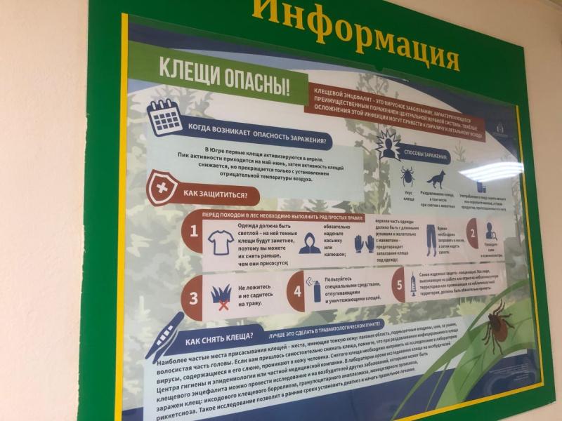 Каждый четвертый клещ заражен инфекцией
