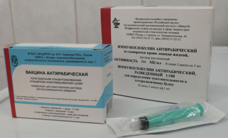 За первое полугодие после укусов и оцарапывания животными в травмбольницу обратились 495 человек