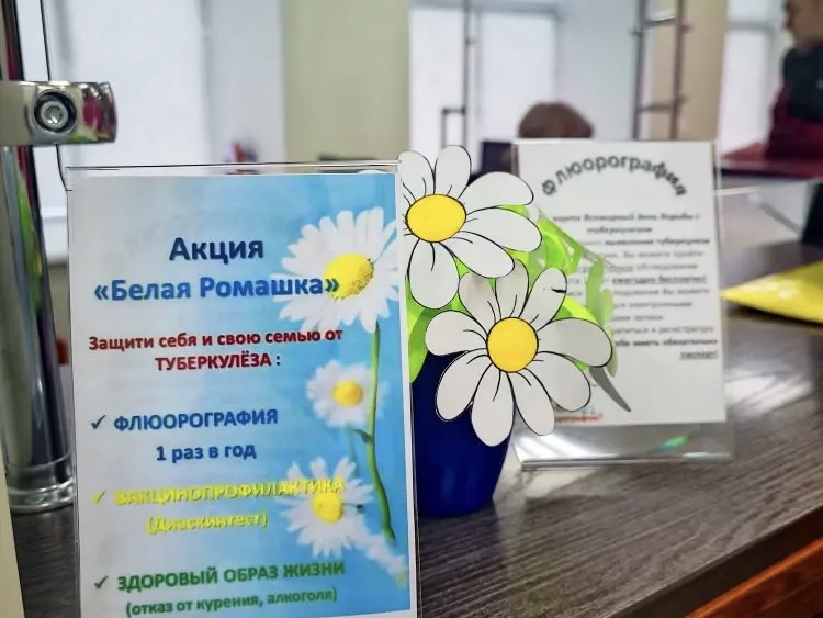 Акция «Белая ромашка»: с теплом к и помощью к пациентам 