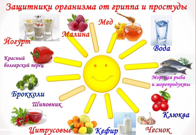 Питание детей в сезон простудных заболеваний 